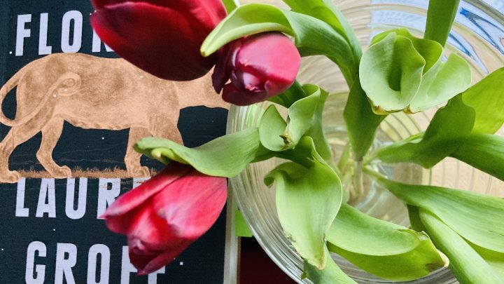 Pantera spacerująca i bukiet tulipanów w wazonie